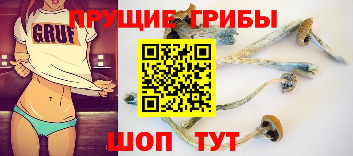 Псилоцибиновые грибы GOLDEN TEACHER Артём